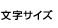 文字サイズ