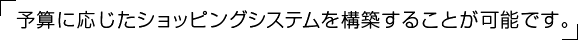 予算に応じたショッピングシステムを構築することが可能です。